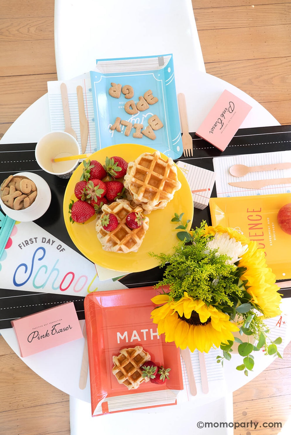 Text Books Shaped Paper Plate Set (Set of 9)