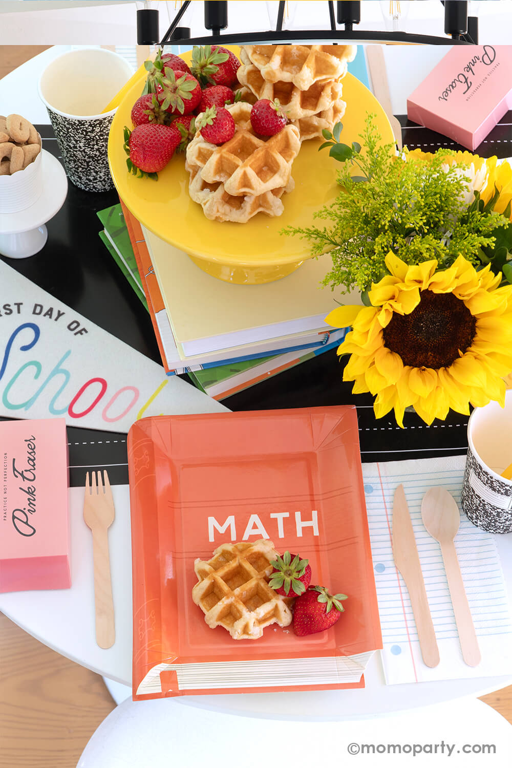 Text Books Shaped Paper Plate Set (Set of 9)