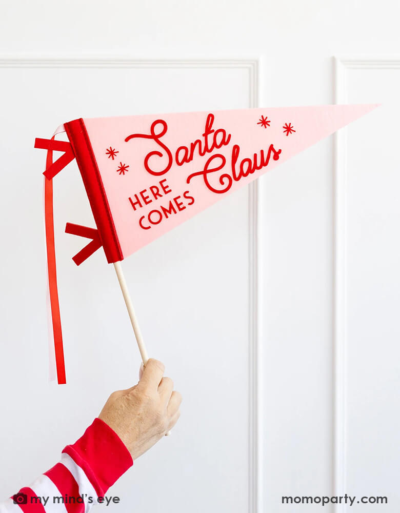 A lady in her red striped shirt holding Momopartys's pink whimsy Santa felt pennant banner by My Mind's Eye.